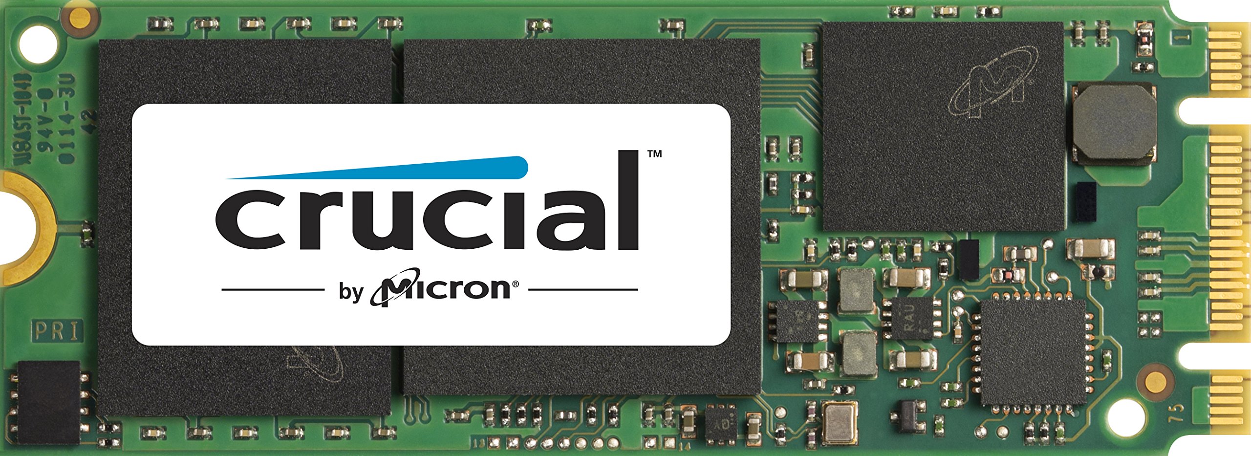 Amazon.com: Crucial Technology 2-Inch 500 GB SATA 6.0 Gb/s